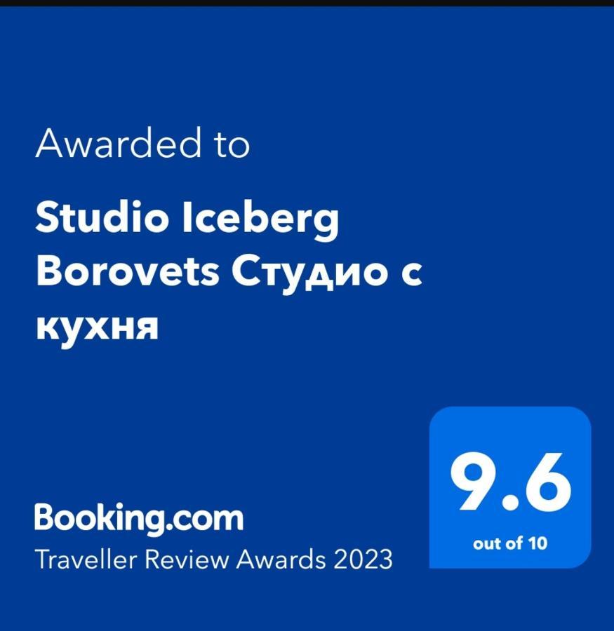 Studio 1 Iceberg بوروفتس المظهر الخارجي الصورة
